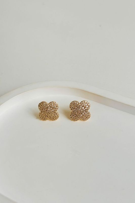 foto-site-3--16- foto-site-3--16-