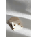 25406.png