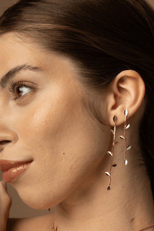 22510-Modelo-2.png 22510-Modelo-2.png