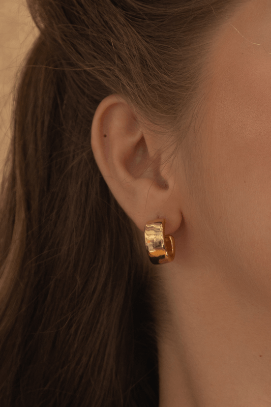 25697-modelo.png 25697-modelo.png