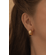 25697-modelo.png