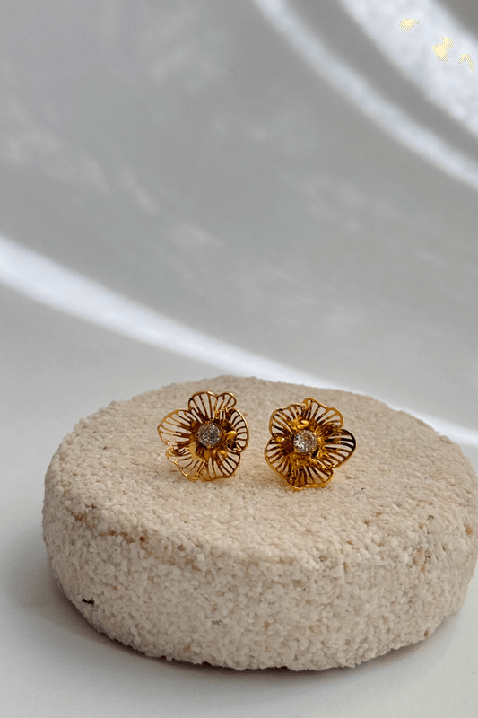 25952--2-.png 25952--2-.png