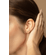 24641-modelo.png