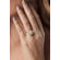 26128--modelo-.png
