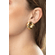 21888--Modelo-.png