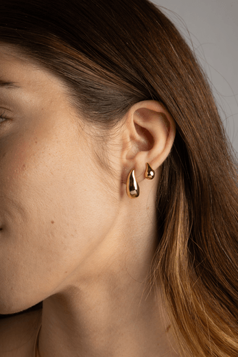 24455--modelo-