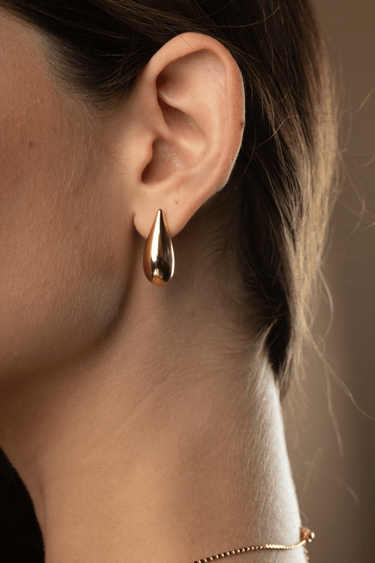 26465--modelo-1-