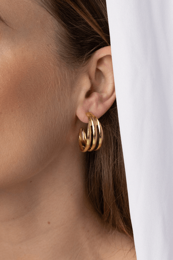 26489--modelo-
