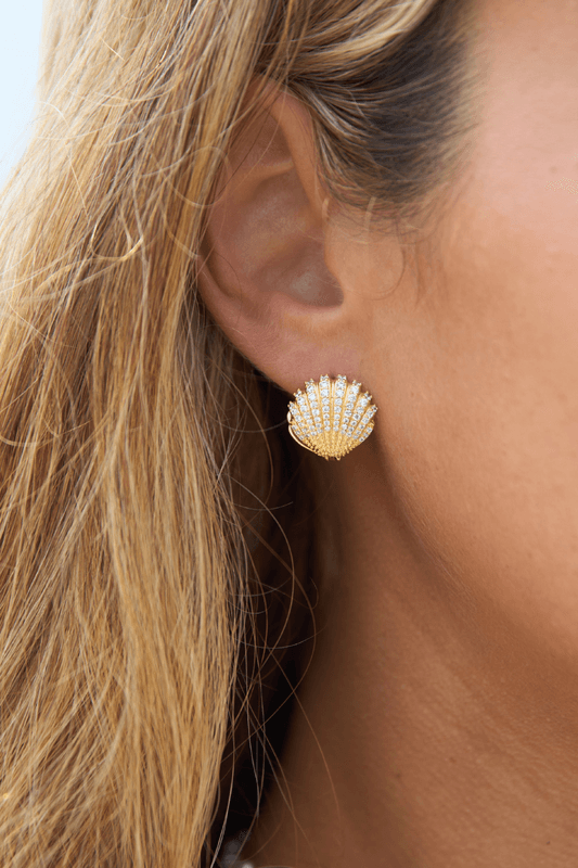 Brinco Concha Dupla Zicôrnias Dourado Brinco Concha Dupla Zicôrnias Dourado